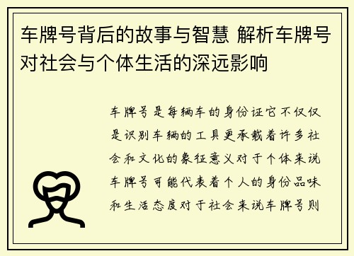 车牌号背后的故事与智慧 解析车牌号对社会与个体生活的深远影响